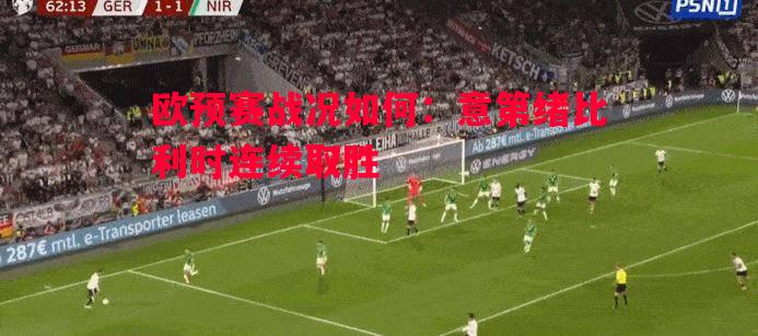 利记平台-欧预赛战况如何：意第绪比利时连续取胜